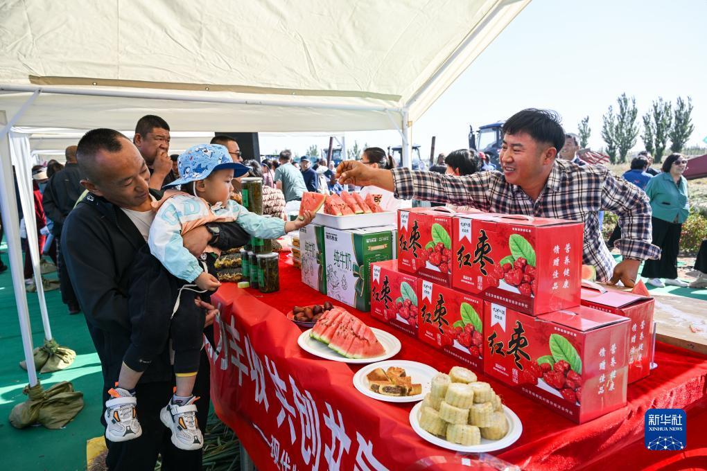 狗博是哪个平台